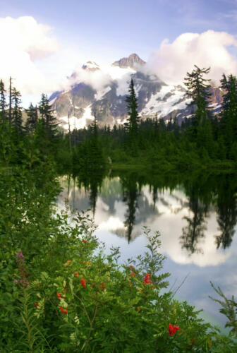 north cascades