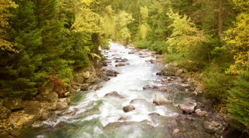 stream