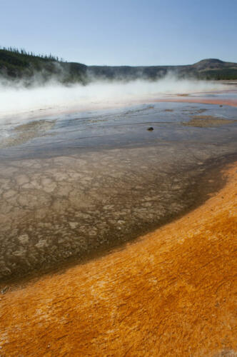 yellowstone DETAIL2