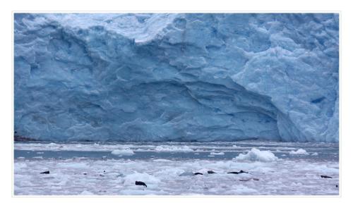 northwestern-glacier 4829944821 o