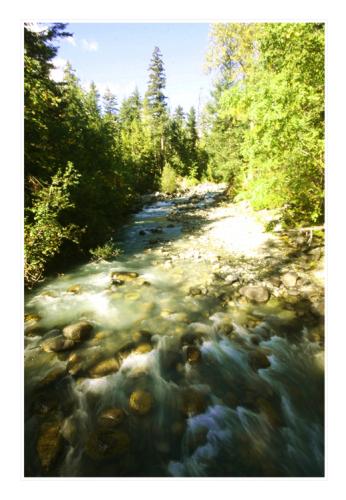 stream5