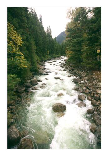 stream6